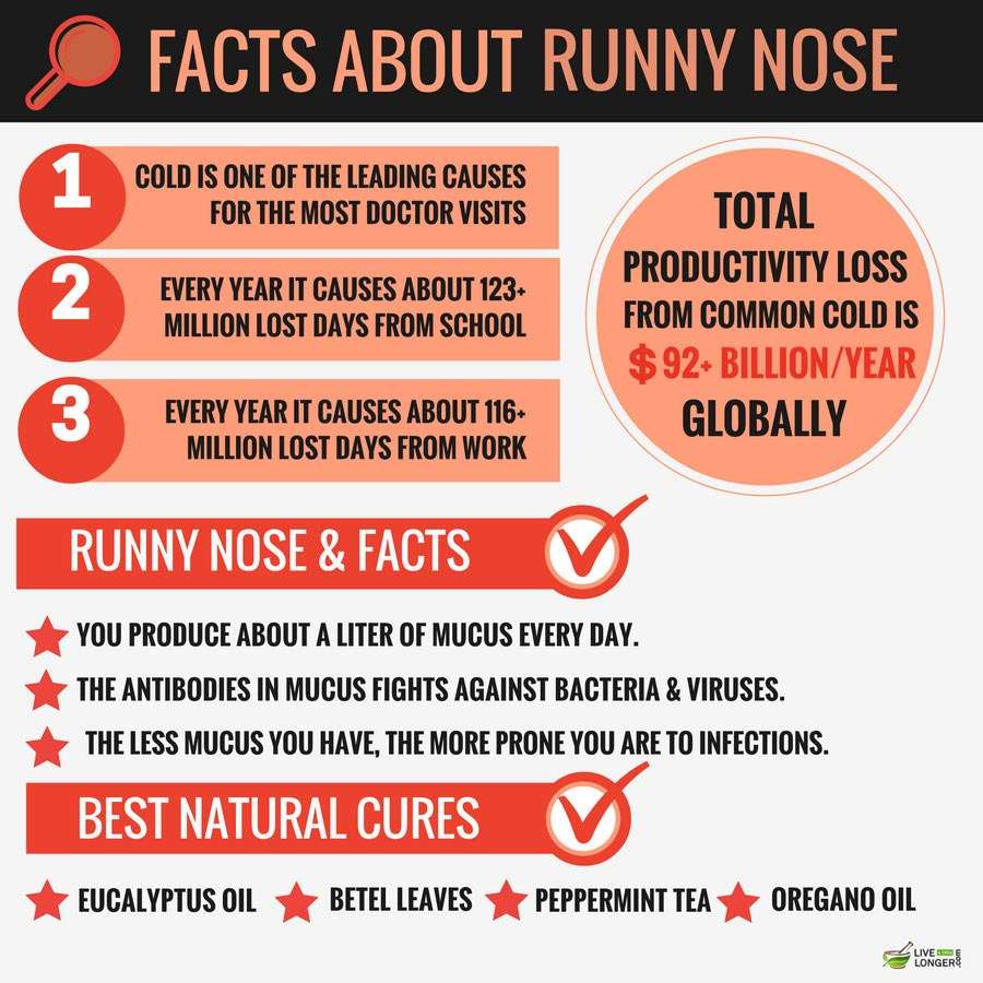10 Best Home Remedies For Runny Nose