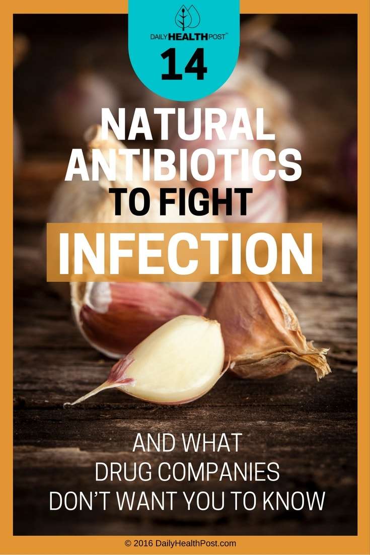 14 Best Natural Antibiotics To Fight Infection Better Than Pharmaceuticals