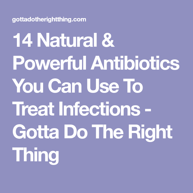14 Most Powerful Natural Antibiotics Known To Mankind