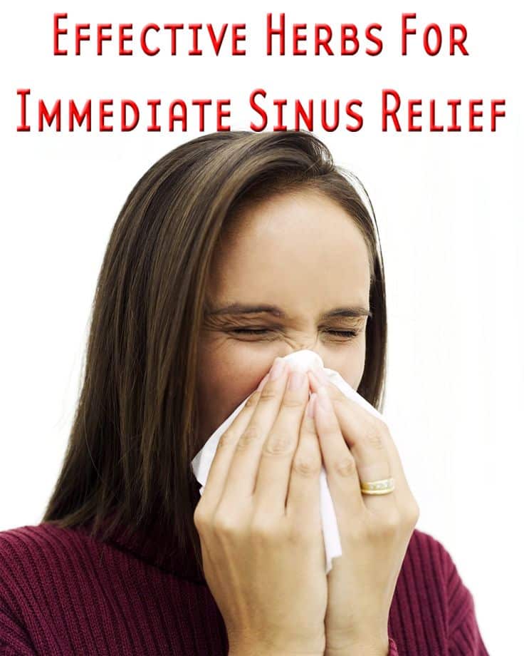 40 best Sinus, Asthma and Allergy Problems images on Pinterest