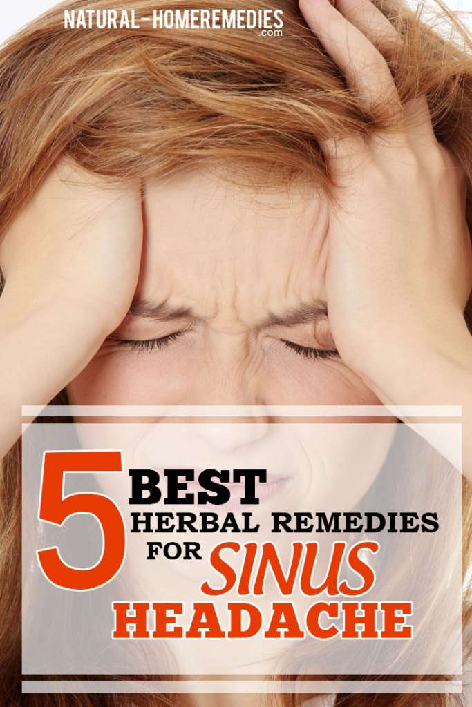 5 Best Herbal Remedies For Sinus Headache â Natural Home Remedies ...