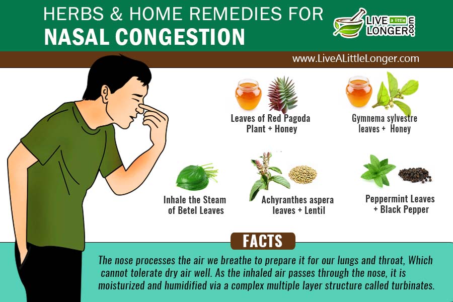 5 Natural Home Remedies For Nasal Congestion Relief
