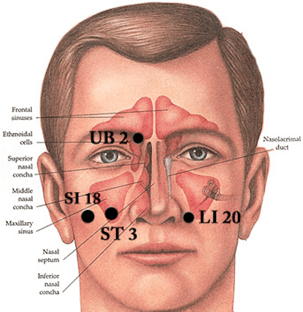 7 Sinus Pressure Points for Instant Relief