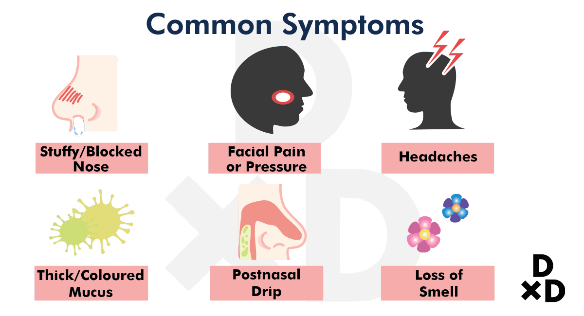 A Complete Guide to Sinus Treatment in Singapore (2020)