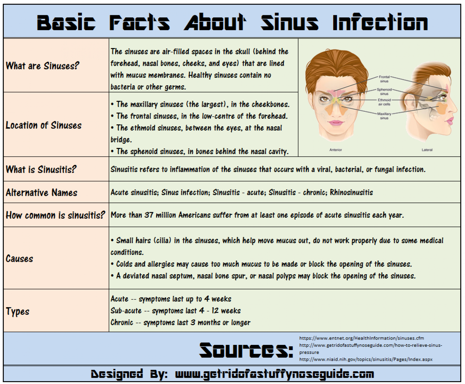 Basic Facts About Sinus Infection
