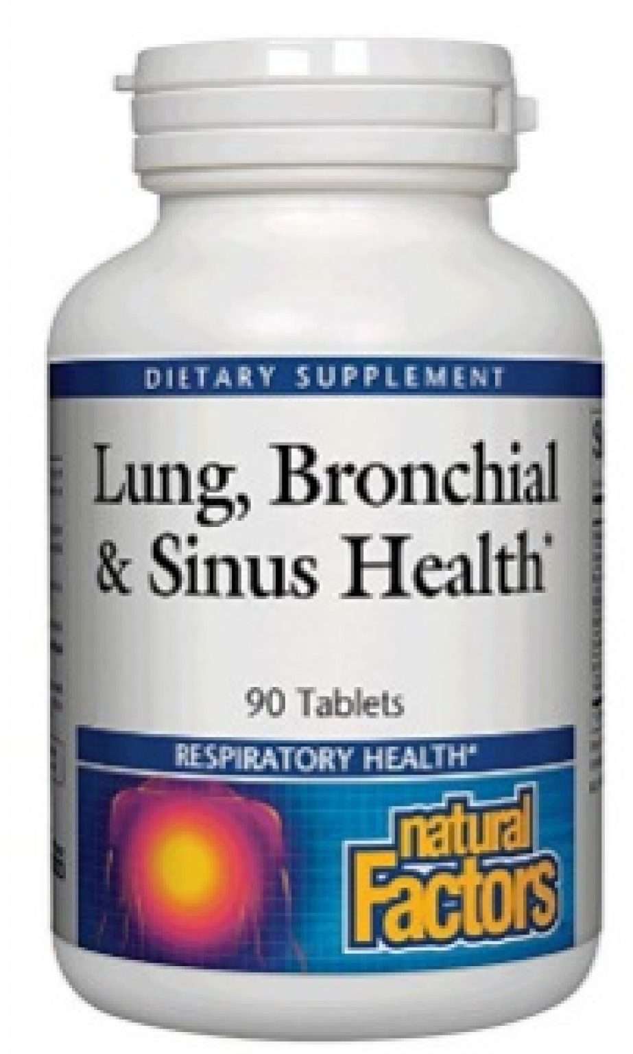 Best Antibiotic for Bronchitis and Sinus Infection