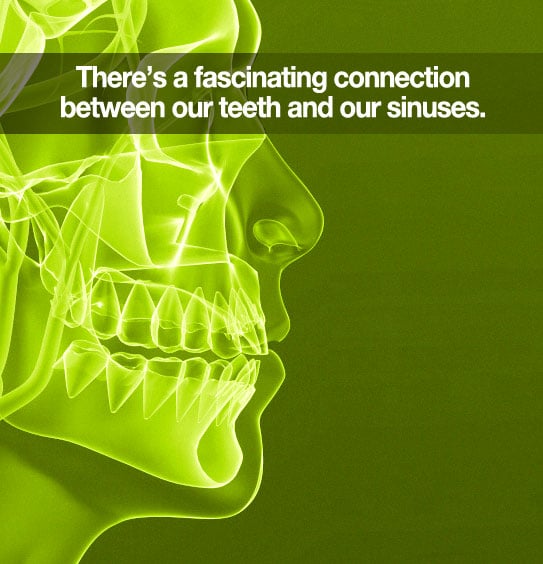 Can a Toothache Cause a Sinus Infection?