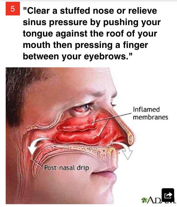 Clear your sinuses