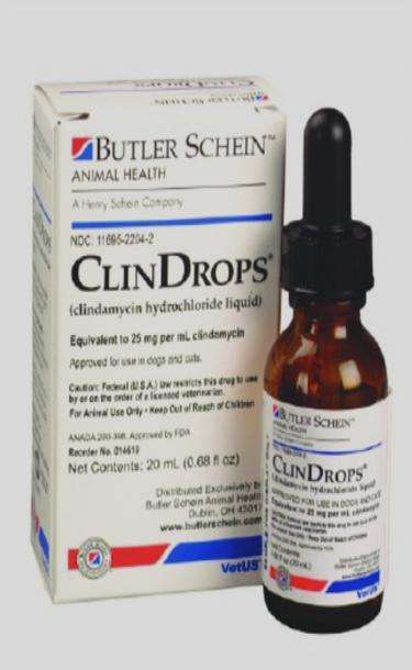 Clindamycin phosphate gel is used to treat MasterCard