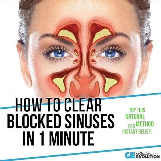 Having clogged sinuses isnt fun. You cant breath, you cant smell, it ...