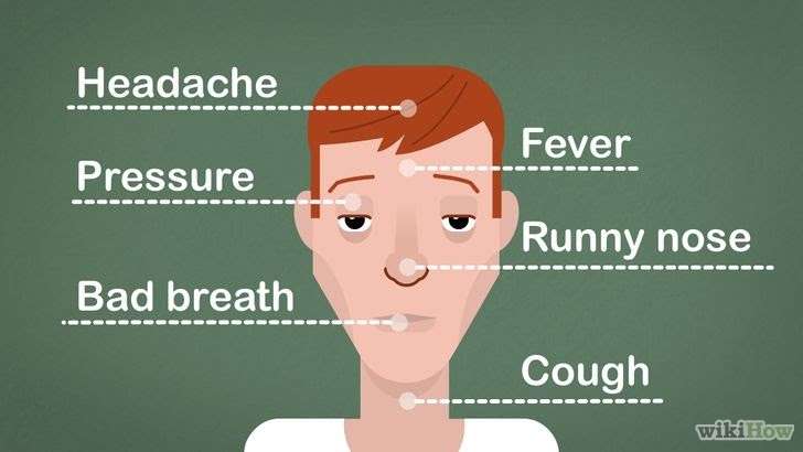 How Long Can A Cough Last After A Sinus Infection ...