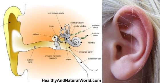 How to Quickly &  Naturally Get Rid of Clogged Ears