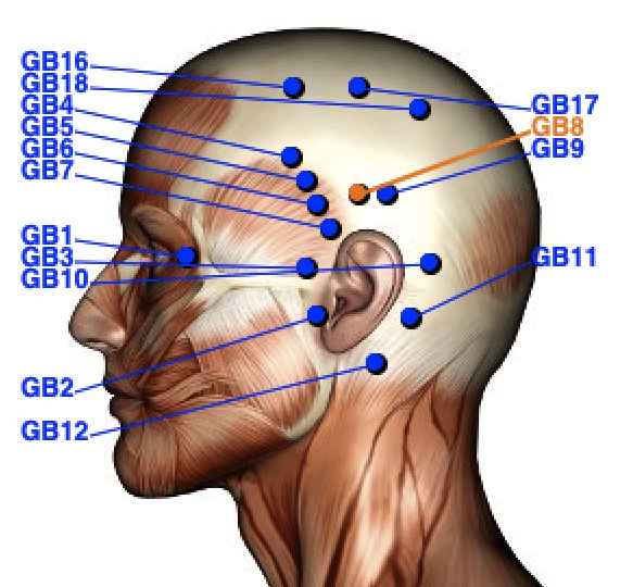 Pin on Sinus Pressure Points Therapy