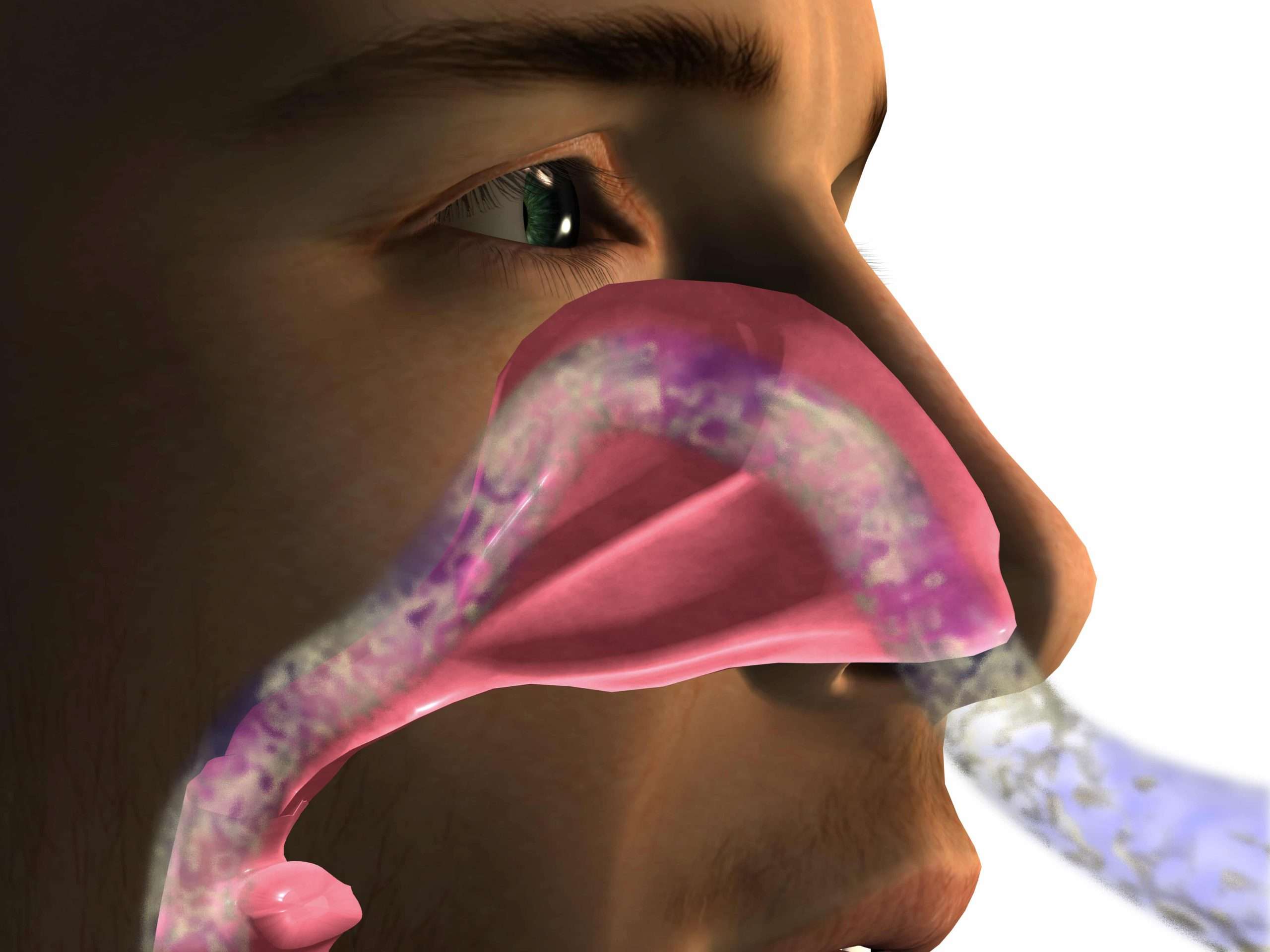 Reasons You May Have a Bad Smell in the Nose