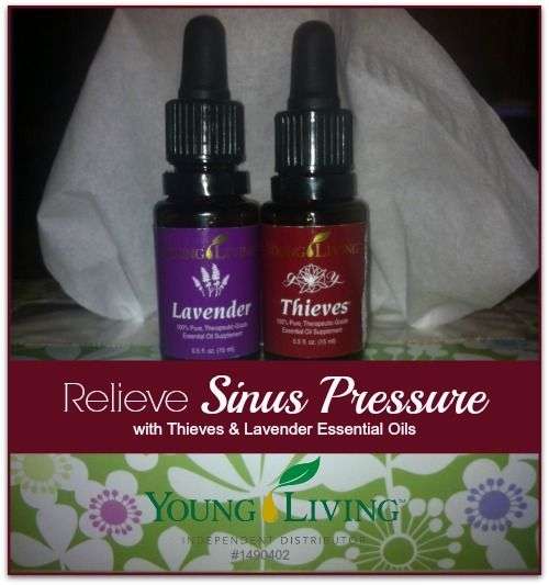 Relieve sinus pressure, Sinus pressure and Young living ...
