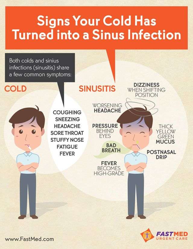 Signs Your Cold Has Turned into a Sinus Infection [INFOGRAPHIC]