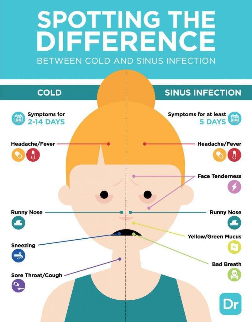 Sinus Congestion Vs Sinus Infection