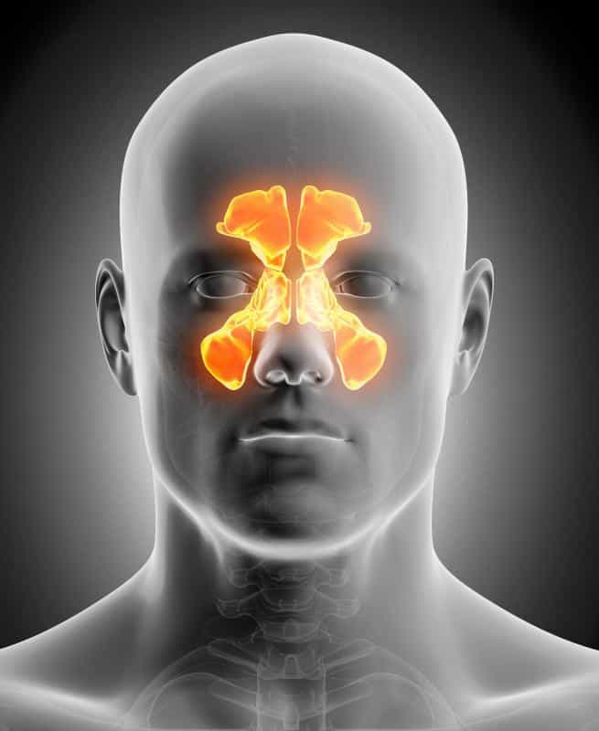 Sinus Infection Light Headed Fatigue