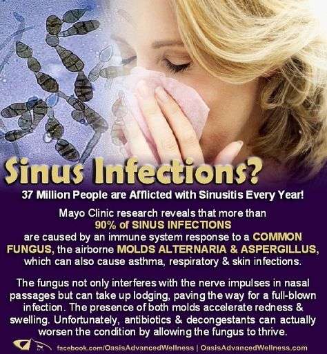 Sinus Infections?