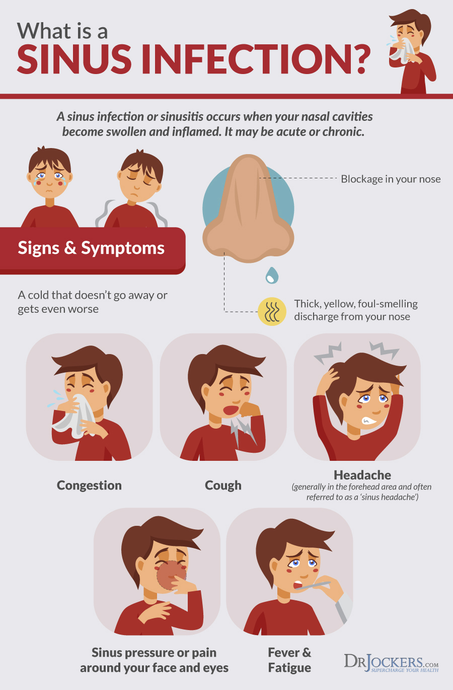 Sinus Infections: Causes, Symptoms &  Natural Support Strategies
